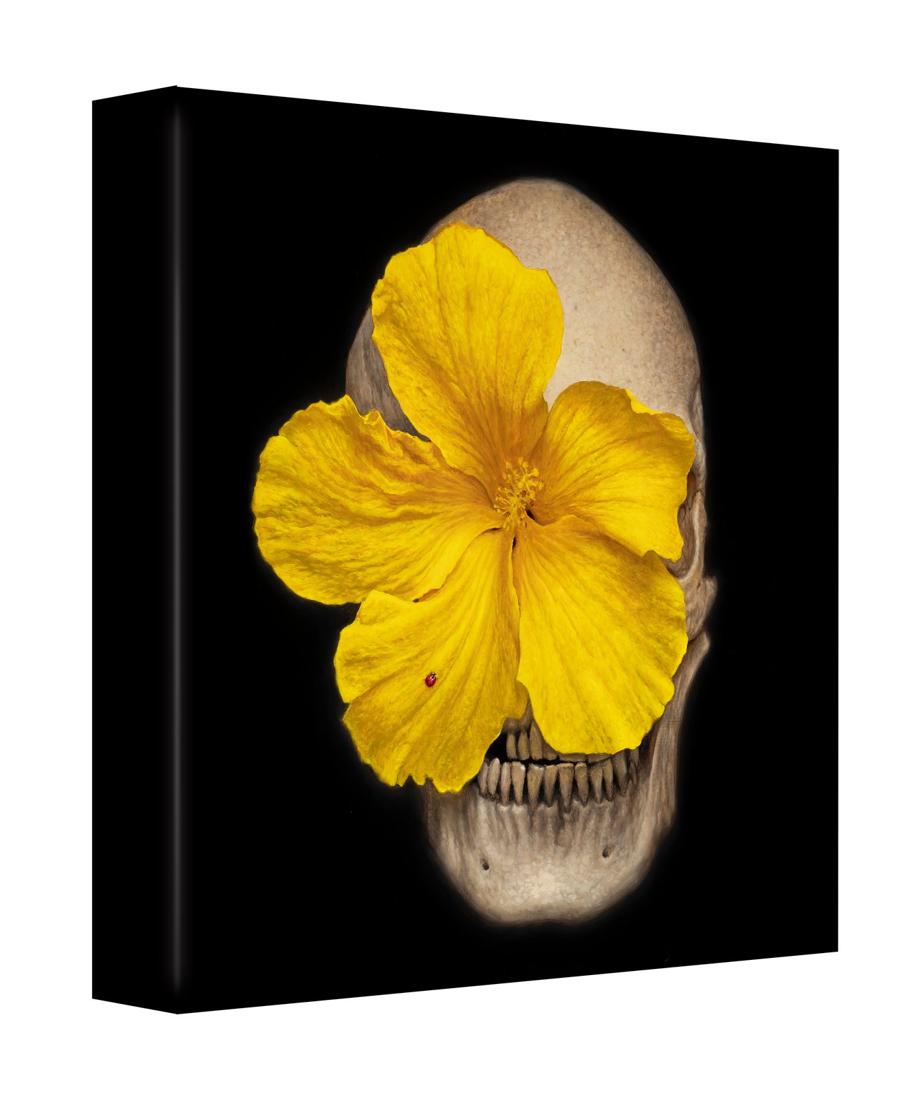 Skullflower II